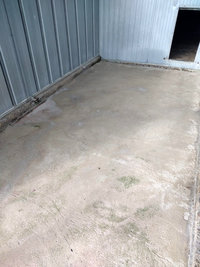 Courettes extérieures des Chiens